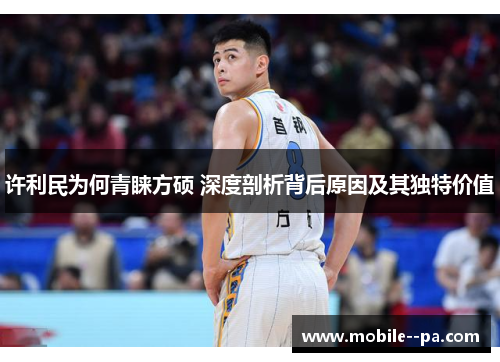 许利民为何青睐方硕 深度剖析背后原因及其独特价值