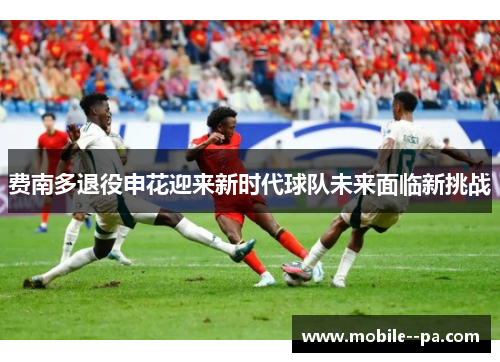 费南多退役申花迎来新时代球队未来面临新挑战
