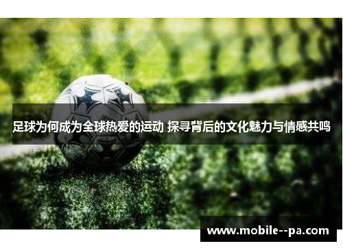 足球为何成为全球热爱的运动 探寻背后的文化魅力与情感共鸣