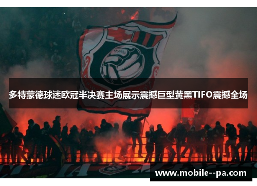 多特蒙德球迷欧冠半决赛主场展示震撼巨型黄黑TIFO震撼全场