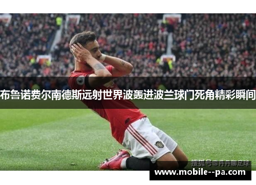 布鲁诺费尔南德斯远射世界波轰进波兰球门死角精彩瞬间