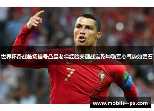 世界杯备战临场信号凸显老将经验关键战定乾坤稳军心气势如磐石 世界杯备战临场信号凸显老将经验关键战定乾坤稳军心气势如磐石